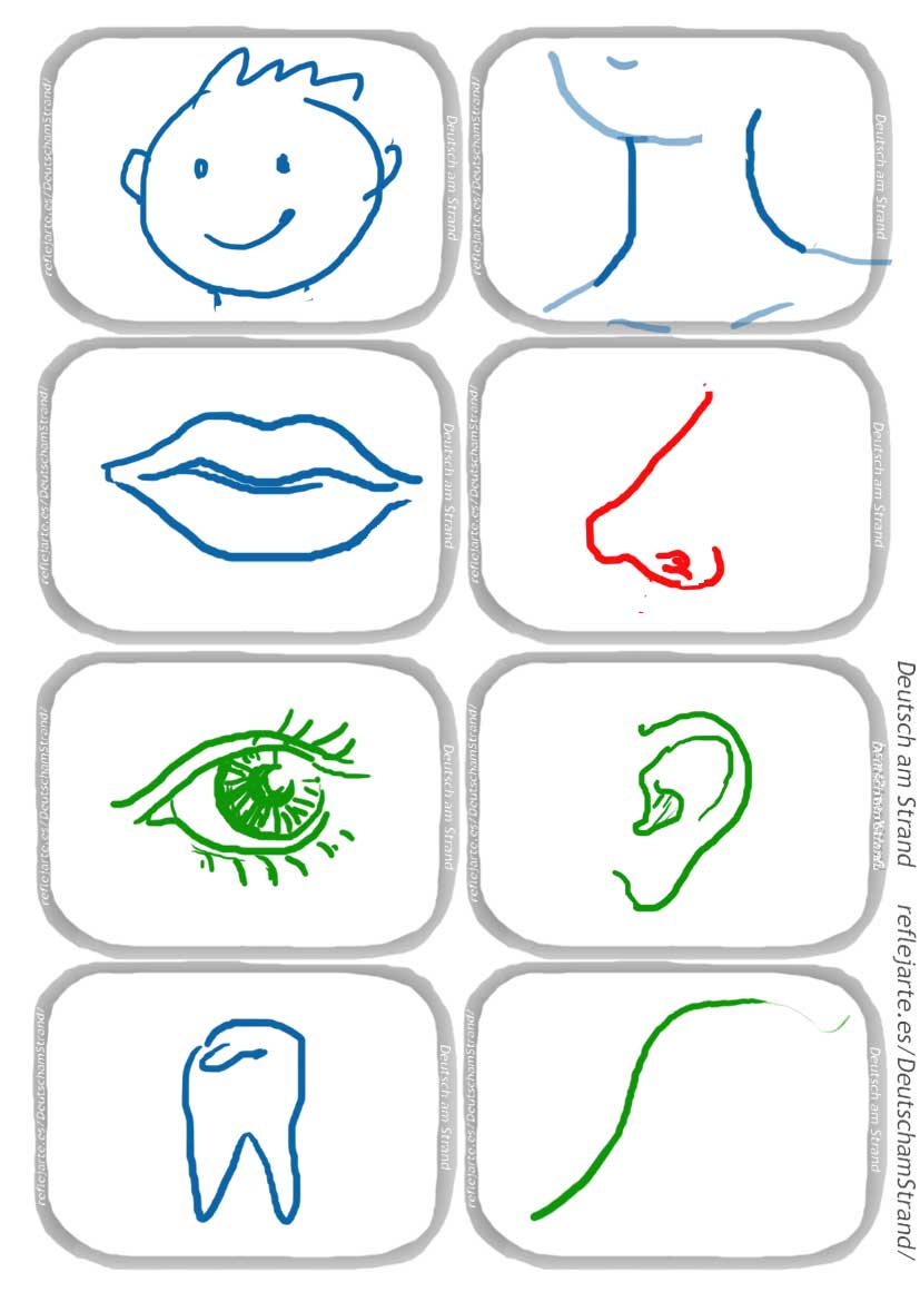 Der Körper · Memorykarten in Genusfarbe · Kopf, Hals, Mund, Nase, Auge, Ohr, Zahn, Haar · reflejarte.es/DeutschamStrand