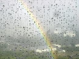 der Regenbogen, die Regenbögen