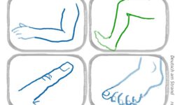 Der Körper · Memorykarten in Genusfarbe · Hand, Fuss, Arm, Bein, Finger, Zeh, Bauch, Po · reflejarte.es/DeutschamStrand